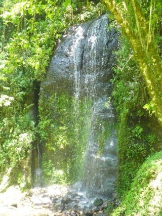 Cascada el Izote